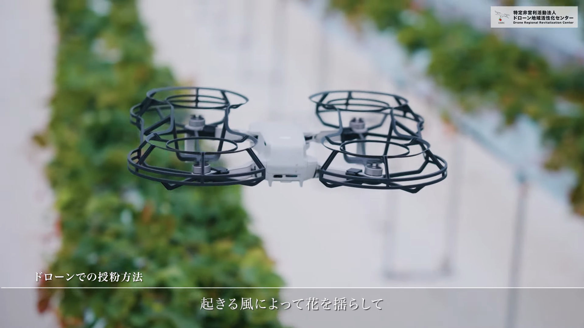 T大学 × NPO法人地域活性化センター 長尺映像 制作実績 画像1