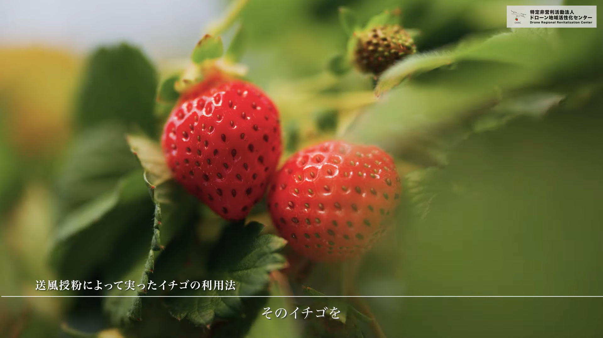 T大学 × NPO法人地域活性化センター 長尺映像 制作実績 画像3